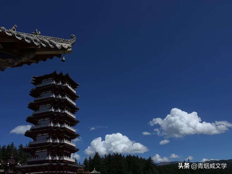 七律咏冬柳,七律春柳外五首