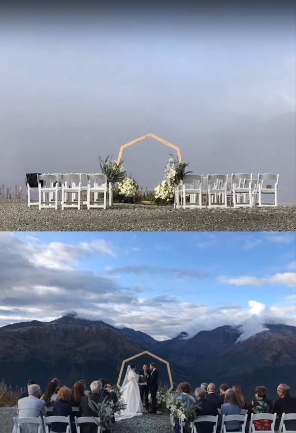 20张让人开怀大笑的猫咪照片,100张有趣猫咪照