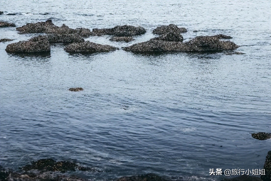 夏日海边浪漫迷人,滨城风光秀丽浪漫气息爆表