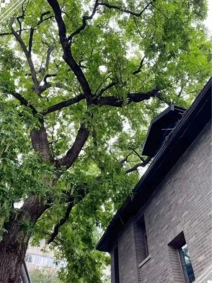 秦淮区的景区有哪些,秦淮最好看的地方