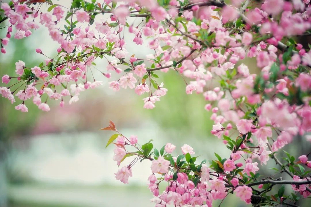 天津大学强基计划直播咨询会,2020年天津大学强基计划名单