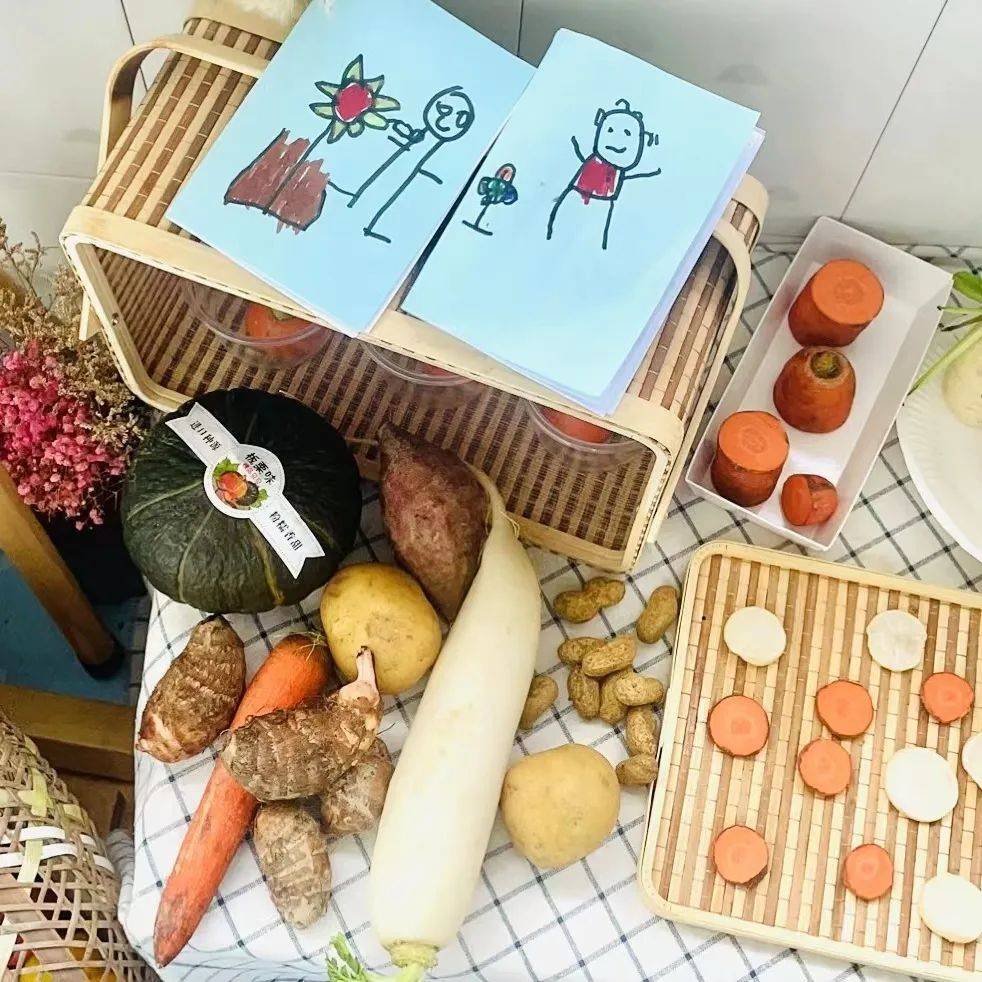 生态环创幼儿园自然角,幼儿园环创自然角实验