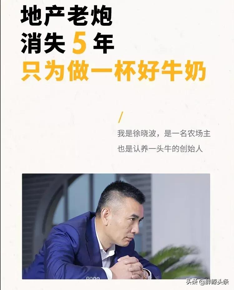 认养一头牛如何干翻蒙牛伊利,认养一头牛试喝奶粉