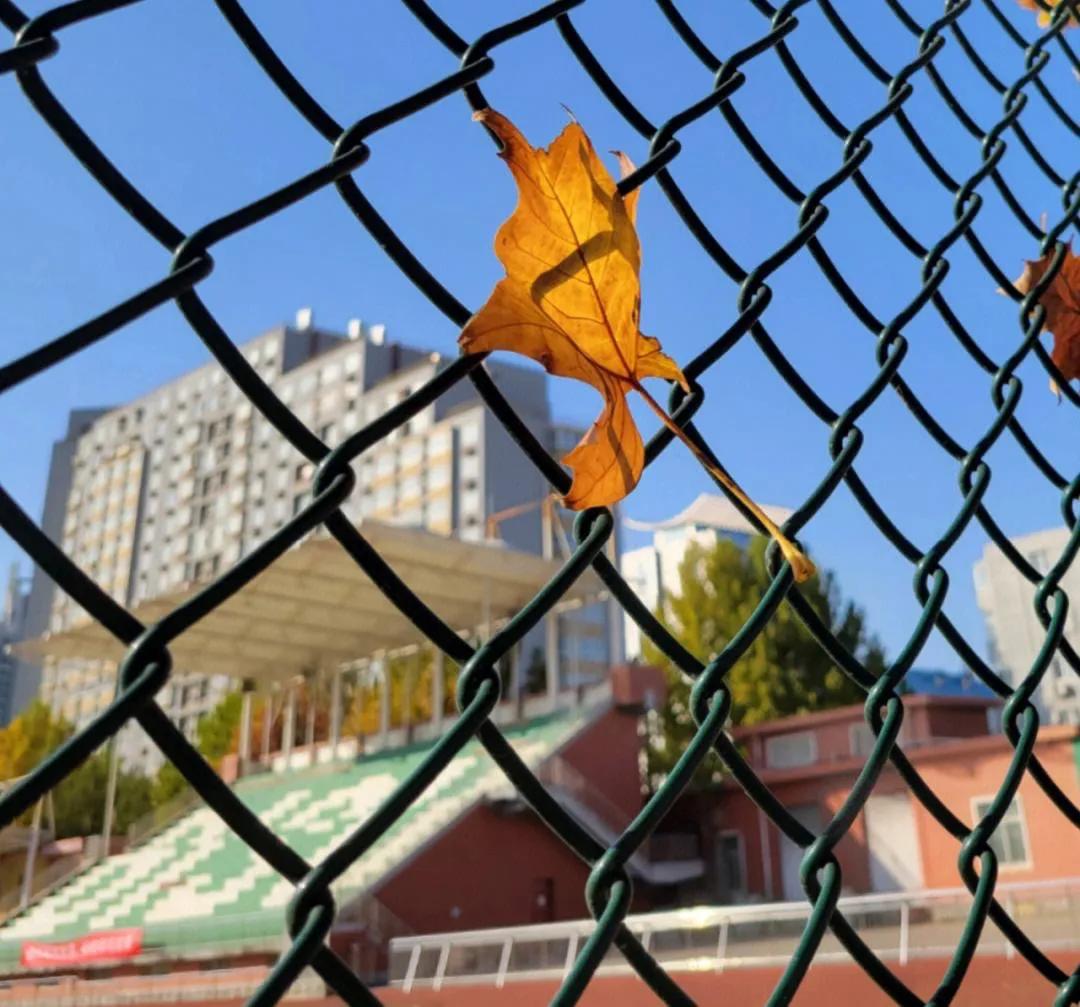 200条实用心理学小知识,实用200条心理学视频