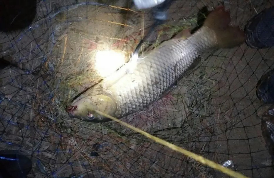 兄弟俩半夜在深潭中钓上一条死鱼，道公：水里有“脏东西”在作怪