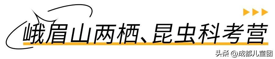 科考队营地,可以和同学一起去的科考夏令营