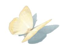 明心见性的禅意句子,明心见性的智慧诗句