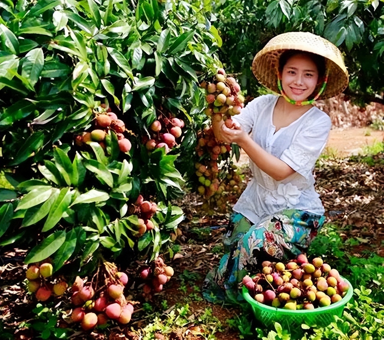 节目主持人苏畅个人资料,广西卫视主持人苏畅