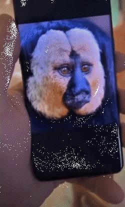 媒体足协对国脚纹身早有禁令,足协会禁止纹身吗