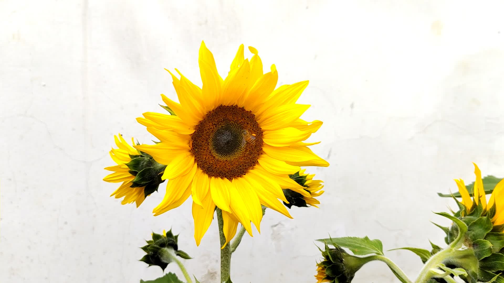 自驾游山东到云南花费大概多少,自驾游云南5天费用得多少钱