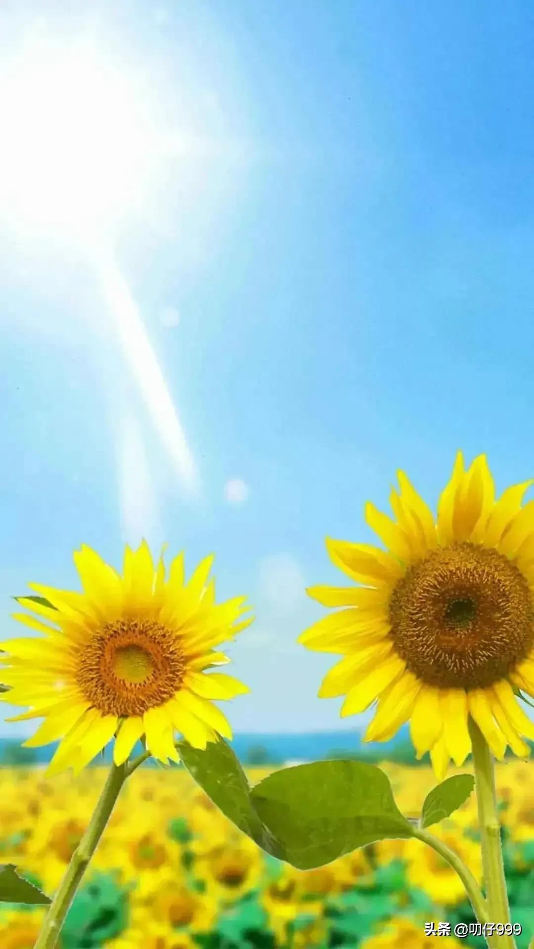 当一个男人死心前的三个征兆,男人一旦死心的征兆