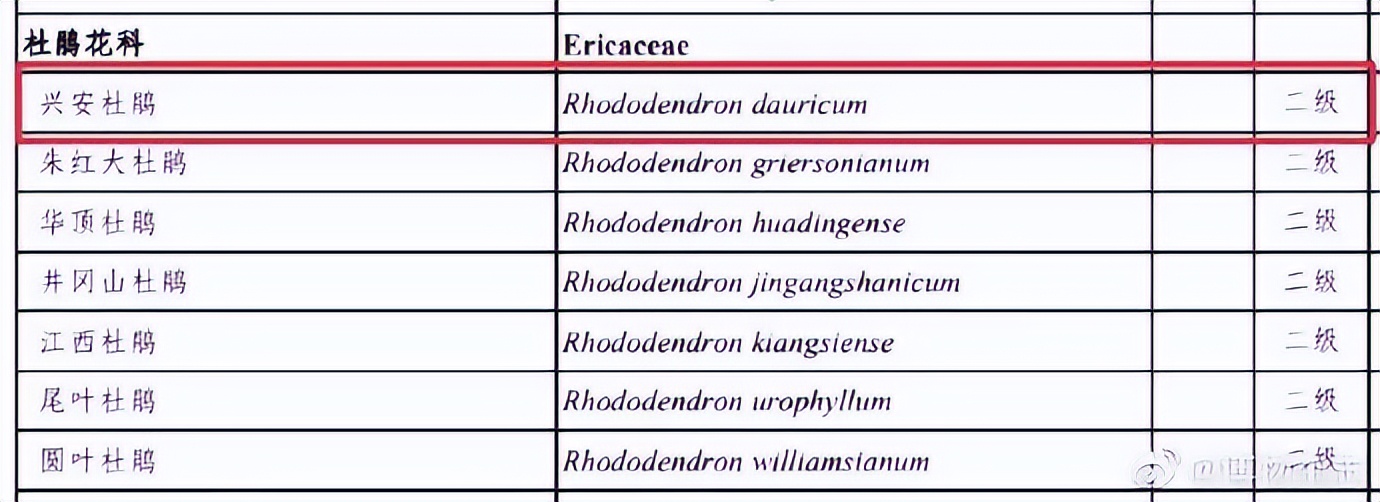 春节不应该买的食物,春节期间这些东西不要买