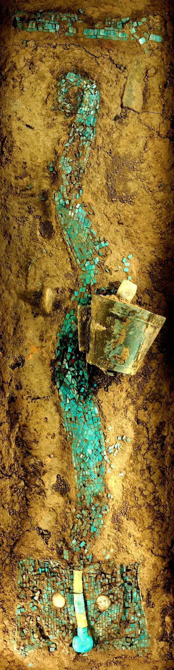 中国出土的两条龙图片,河南出土的中华第一龙