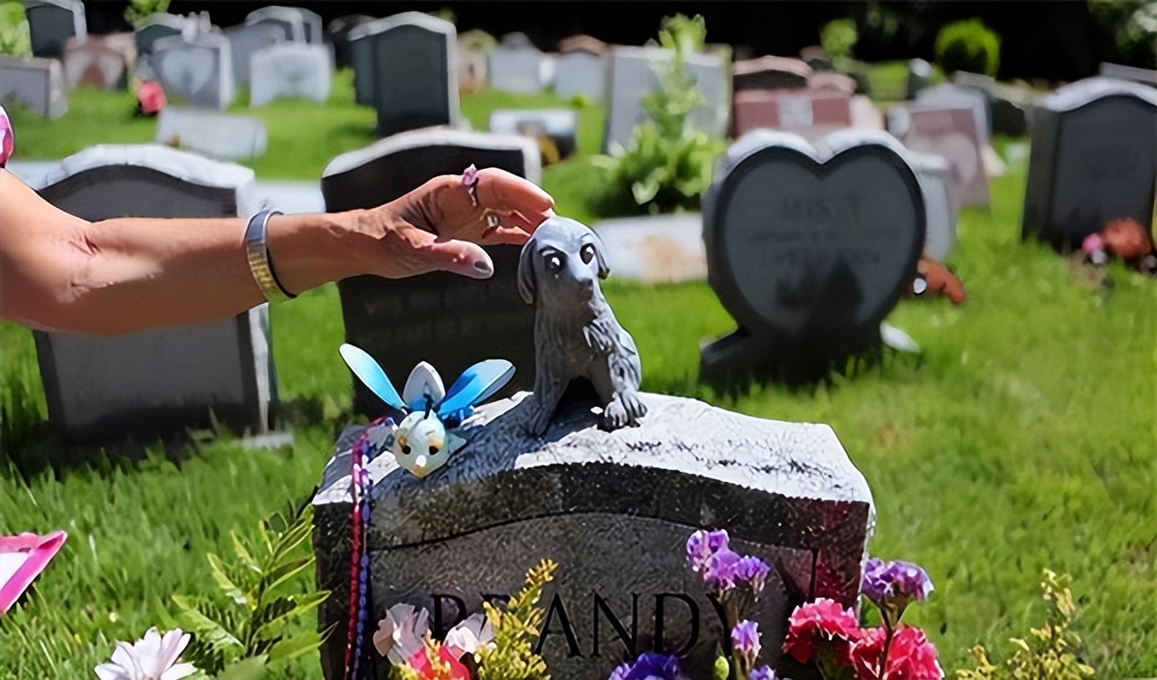 农村平坟新规,农村丧葬改革最新方法