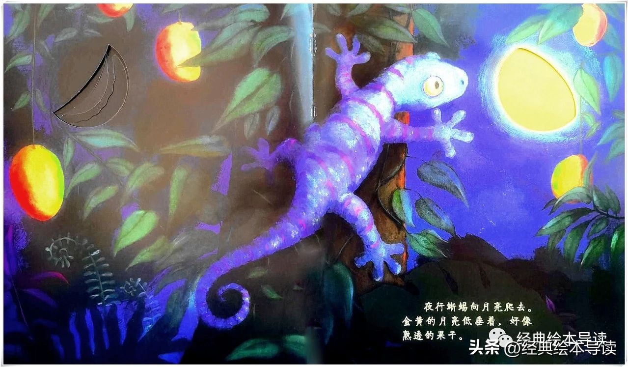 适合夜晚读的晚安书,晚安月亮绘本精读