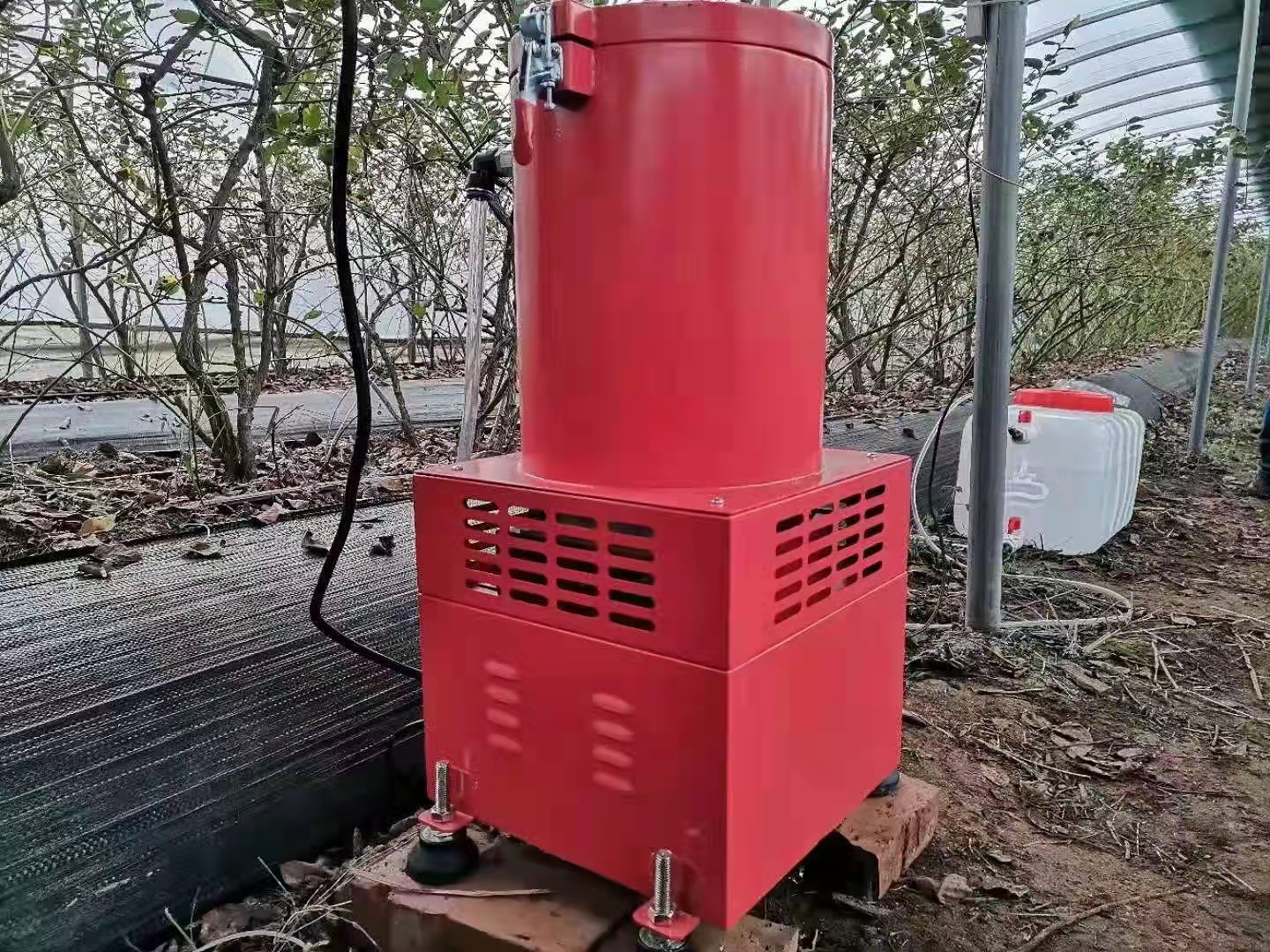 600米长大棚占地7亩猜一年挣多少钱？大叔运蔬菜棚内开火车，啥样