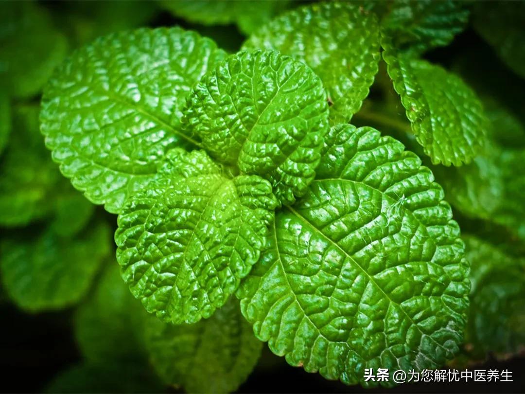 经方治疗不安腿医案,经方治腿不安宁综合征