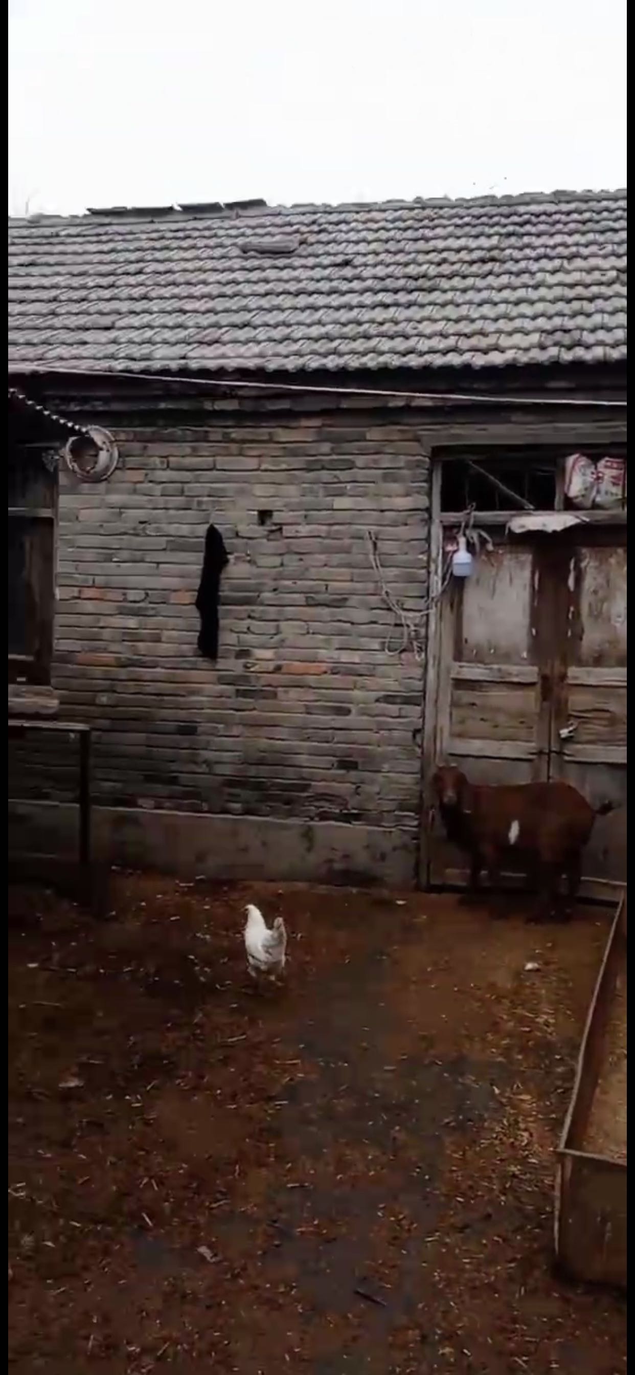 山西“*警恶**”出狱后喊冤：7年前曾脚踩“*薪讨**”农妇致其死亡，被判刑五年；农妇丈夫称工钱至今没拿到