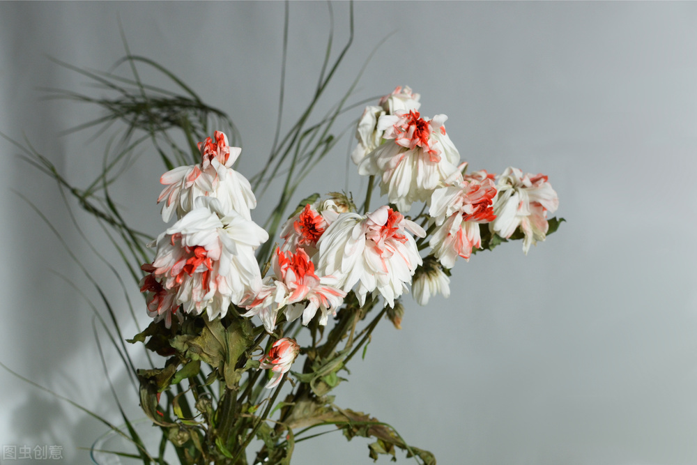 2022年辽宁省退休人员生活补贴,2022年辽宁省死亡赔偿标准