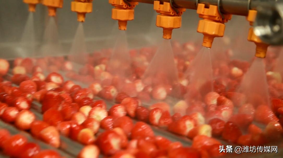 潍坊市有什么大新闻吗,潍坊最新重要新闻