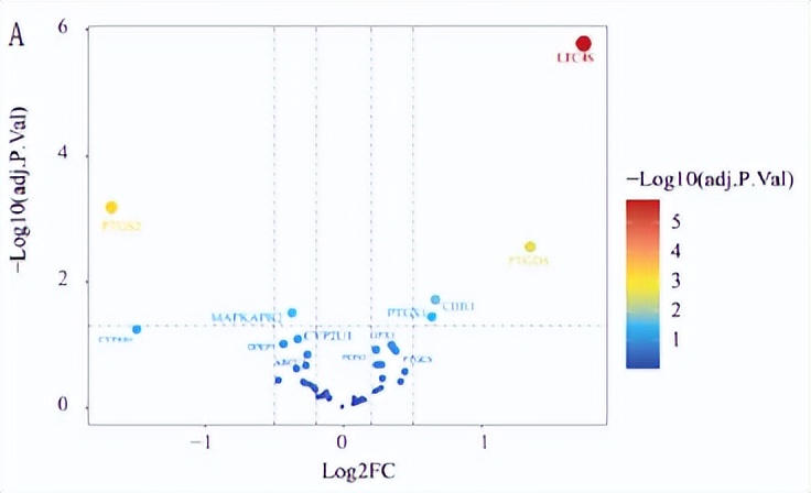 花生四烯酸代谢途径,花生四烯酸代谢途径及药物作用图