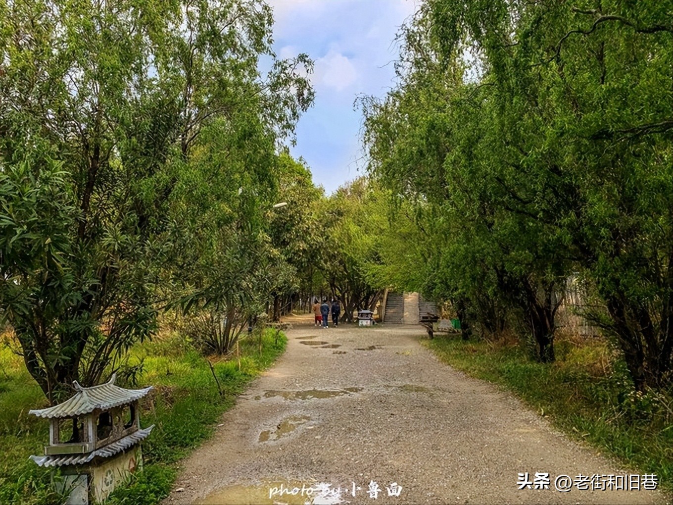 玩转云南自由行,昆明大理丽江6天5晚游多少钱