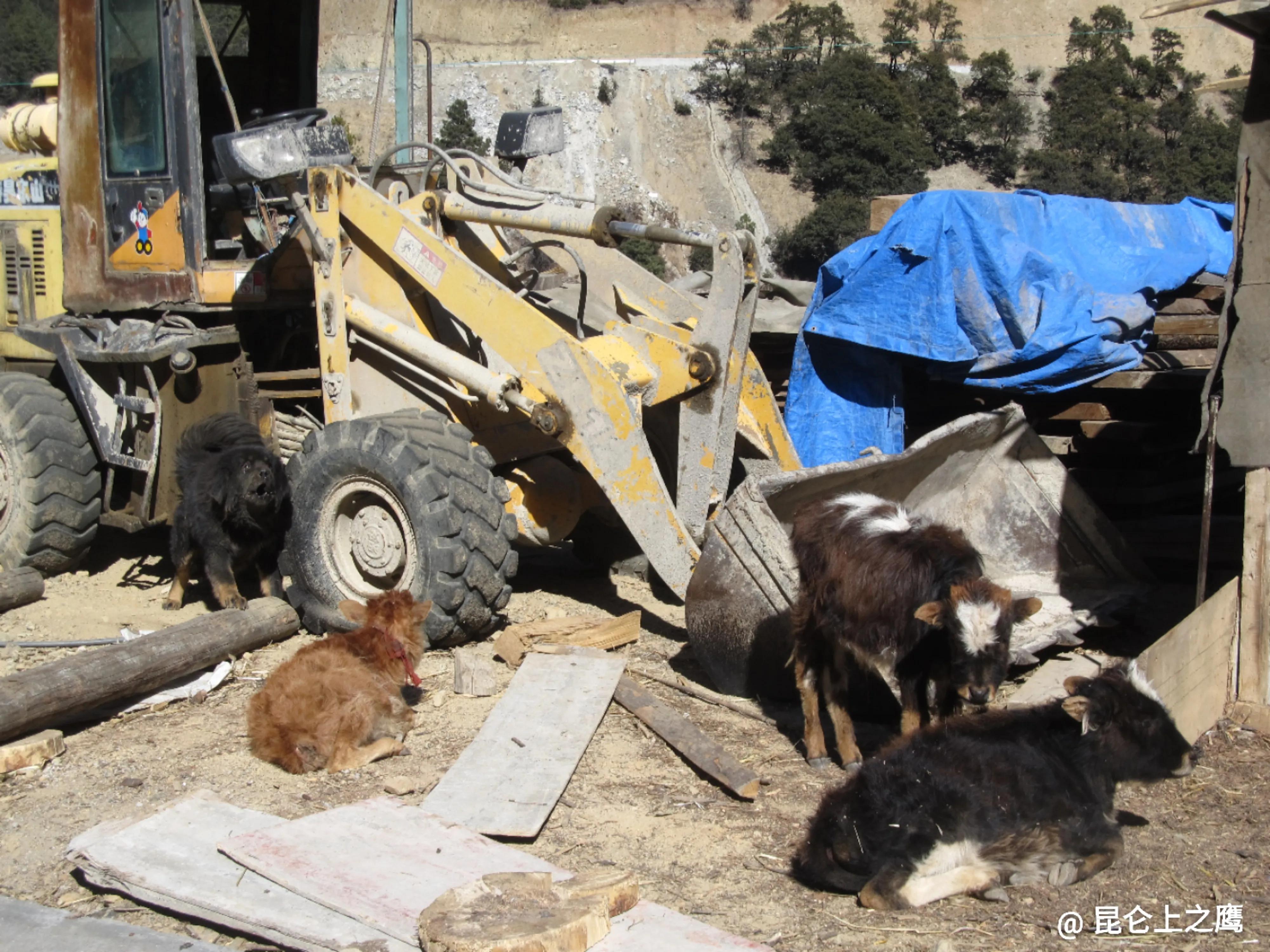 从香格里拉到德钦自驾,香格里拉到德钦沿途地点