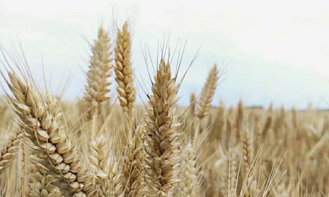 谈谈自己对农村工作的看法,谈谈你对贵州农村的理解