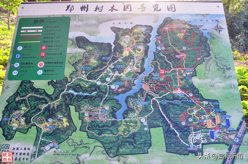 7月郑州凉快遛娃公园排行榜,郑州龙子湖避暑遛娃的地方