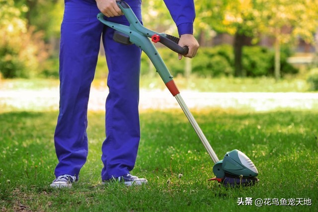 草皮铺设简单,草皮铺设视频教程