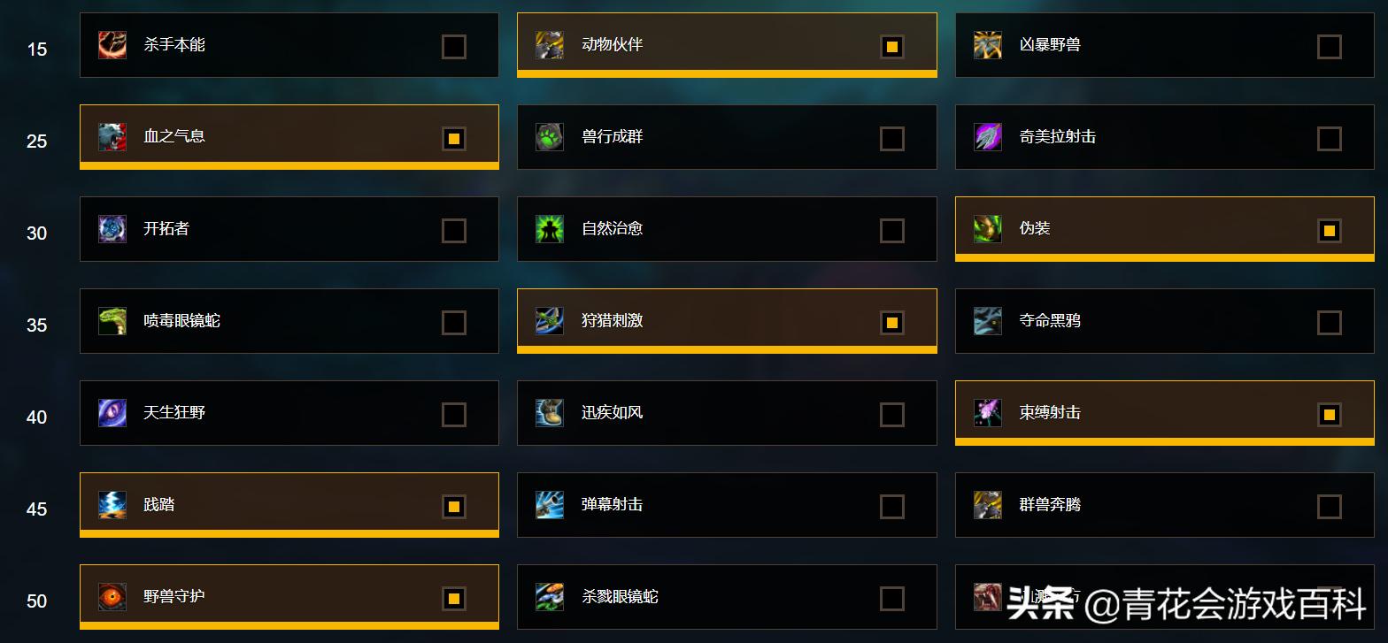 魔兽世界暗影猎人攻略视频,暗影国度兽王猎人要精通还是暴击