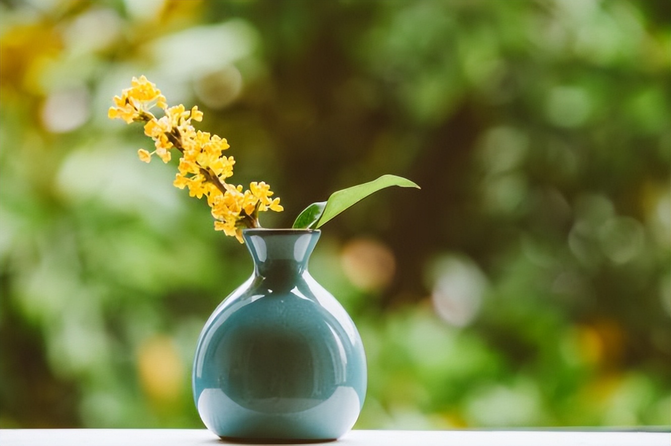 当你感觉事事不顺的时候该怎么办,家庭内耗诸事不顺