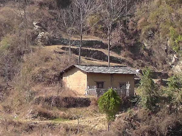 偏爱好姑娘,爱上好姑娘