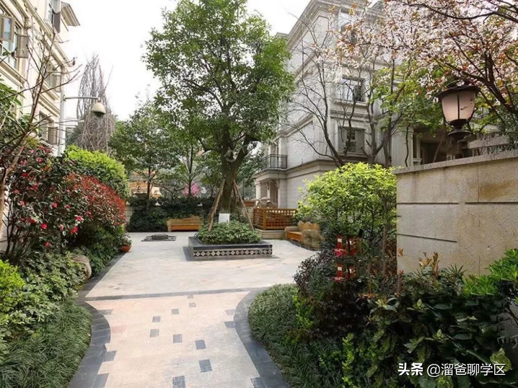 龙江路小学名单,成都龙江路小学新生名单