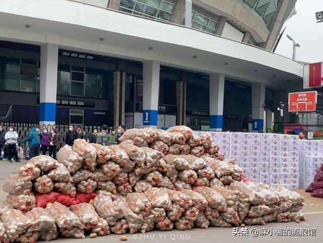 虹口足球场樱花,虹口足球场樱花开在什么地方