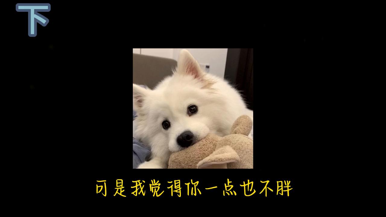 男朋友意外去世了该怎么释怀,男朋友意外去世我该怎么见到他