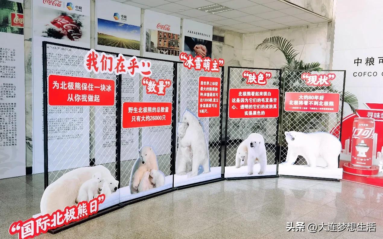 挽救冰雪萌主|中粮可口可乐在辽宁发出环保公益号召