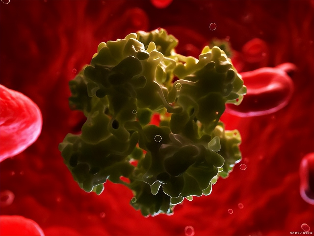 宫颈癌hpv传播途径有哪些,hpv感染有什么症状怎么引起的