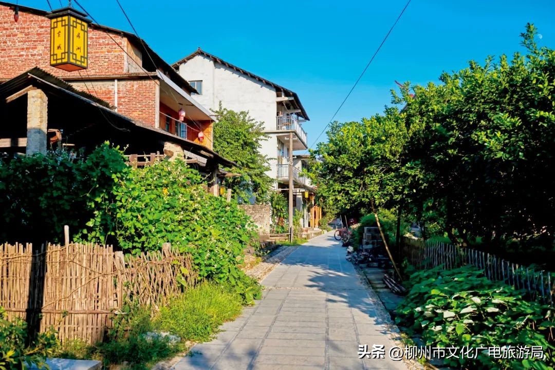 暑期旅游景区活动,暑期旅游优惠活动来啦