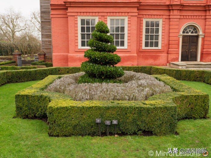 拍鸟用什么镜头性价比最高,拍鸟买r5还是r6好