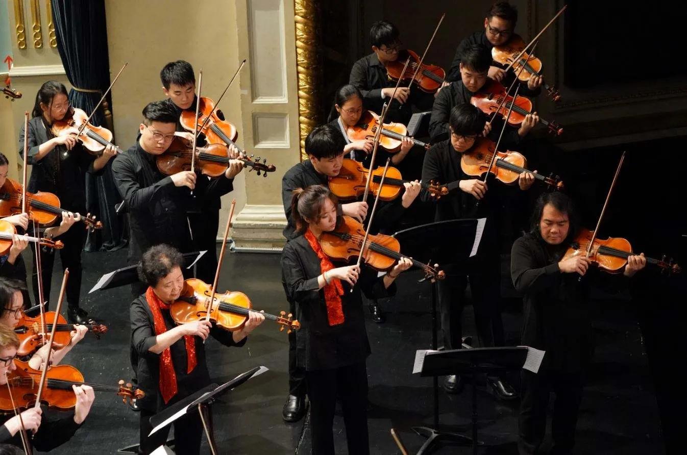 西洋管乐器里的拉弦乐器三种,西洋管弦乐器大提琴简介