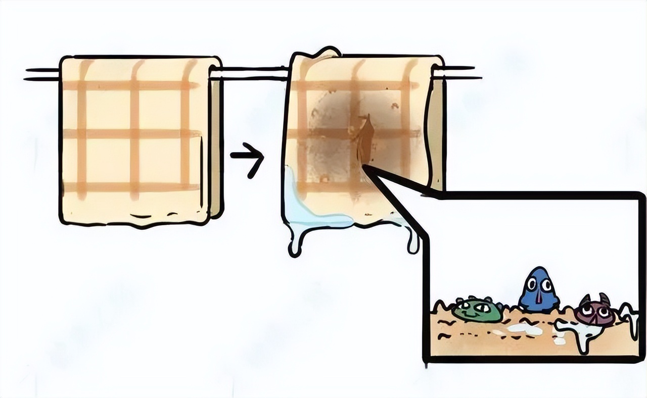 毛巾除菌去异味,毛巾细菌多到可怕