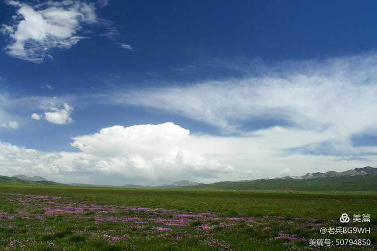 祁连山草原哪里最美,祁连山深处草原