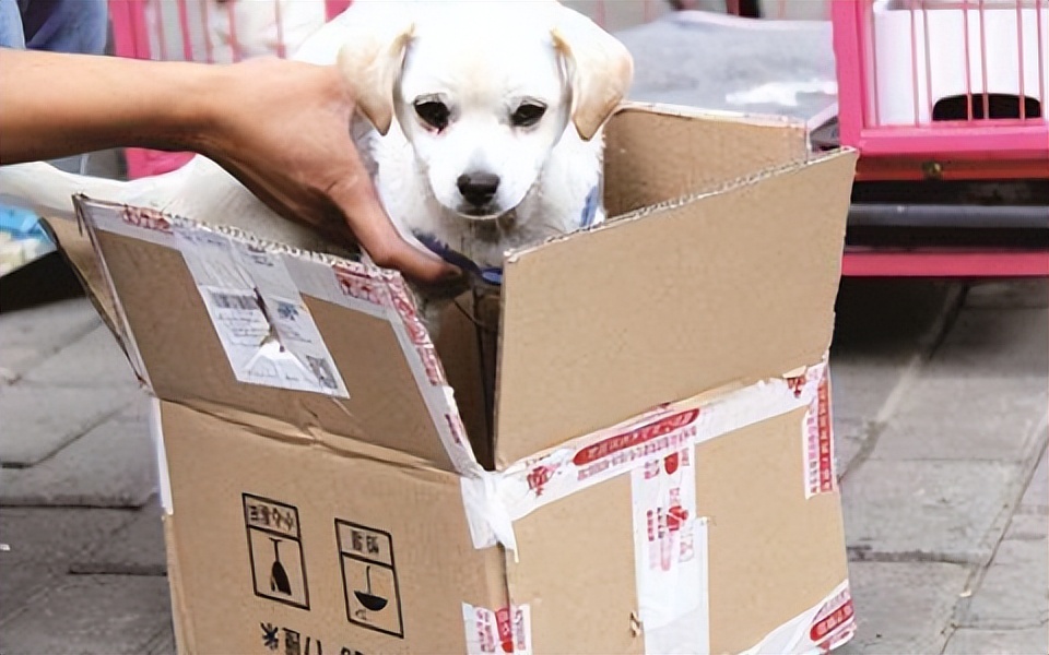 无锡法院2022年度消费者权益保护典型案例