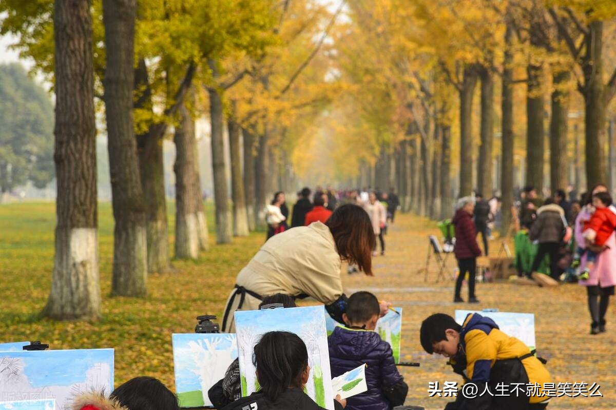 中国各城市双一流大学数量排行榜,双一流大学拥有最多城市排名