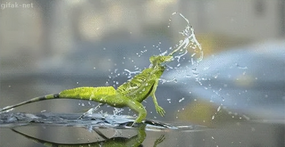 车窗外起雾开窗可以解决吗,如何避免下班车窗起雾