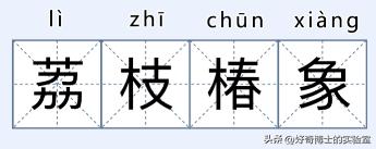 在家里发现小黑颗粒是虫卵吗,墙上有虫卵很小颗粒