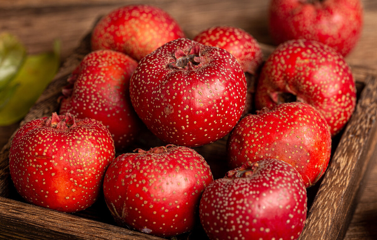 卵巢囊肿声音哑吗,卵巢囊肿小可以不治吗