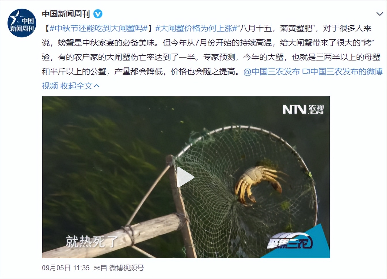 死螃蟹放冰箱7天能吃吗,死螃蟹高温处理能吃吗