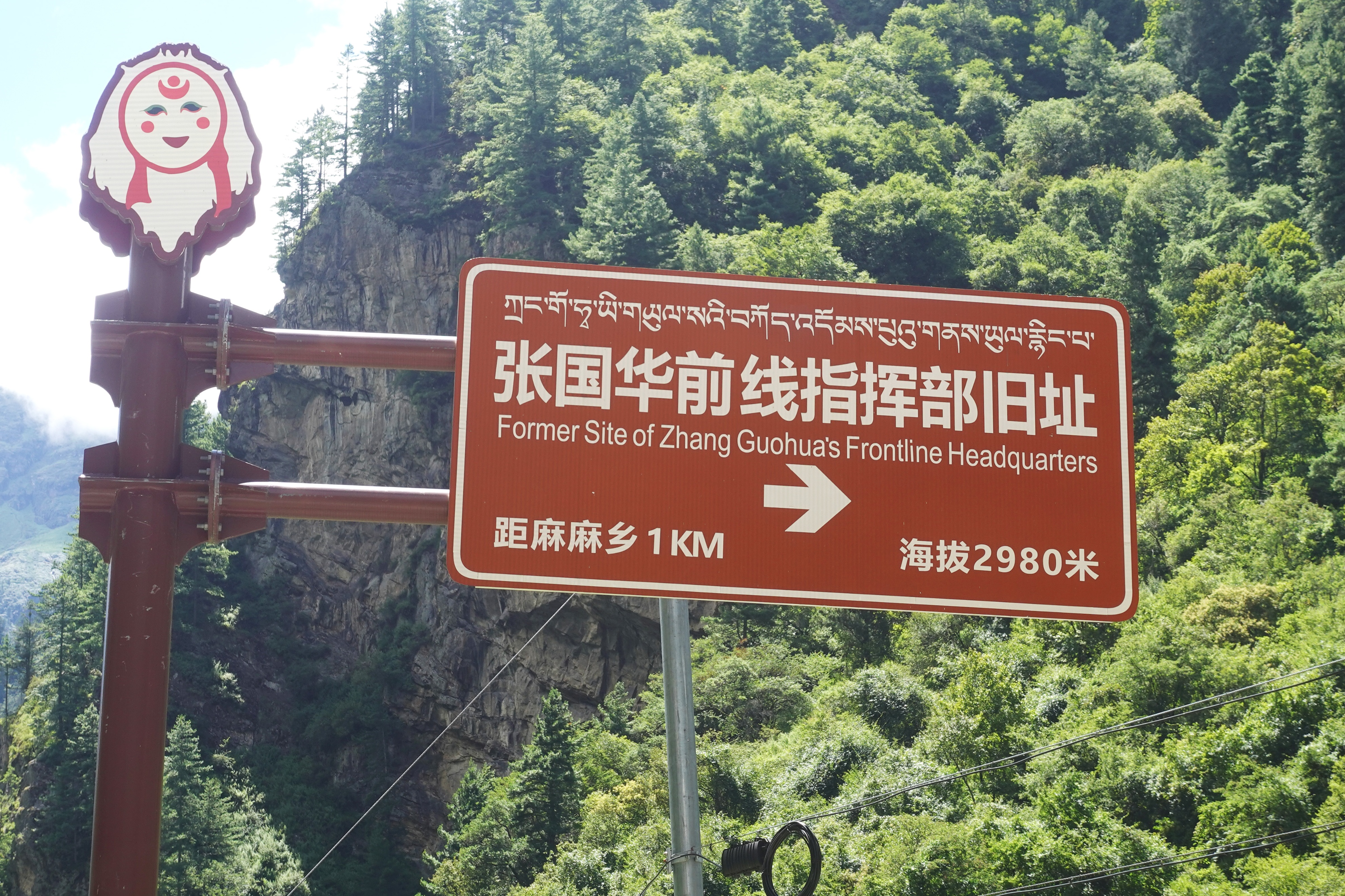 云南最高海拔的茶叶,海拔最高的茶叶产地在哪里